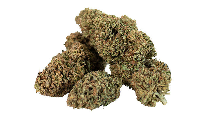 Everything You Need To Know About Wedding Cake CBD Flower