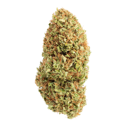 2022 Sour Brulee Flower
