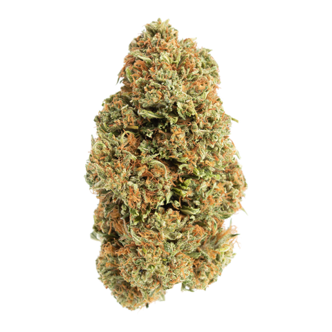 2022 Lemon Octane Flower