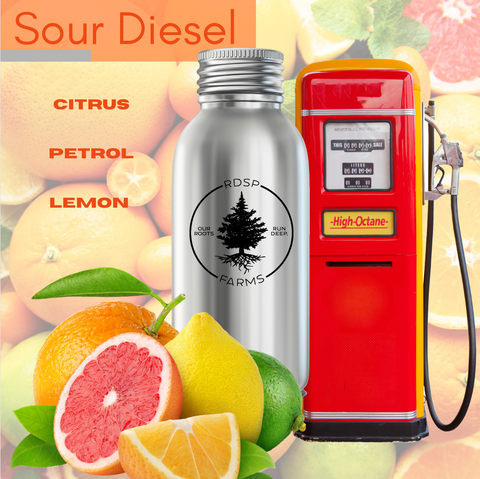 Terpenes - Sour Diesel